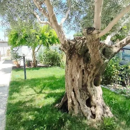 דירה Casa Lety Con Giardino, By Affitti Brevi רימיני