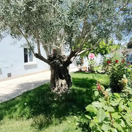 Casa Lety Con Giardino, By Affitti Brevi 公寓 里米尼