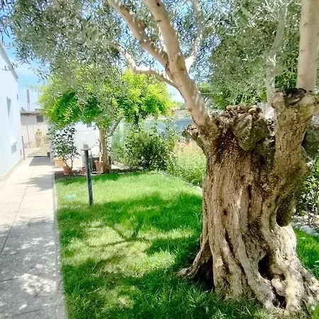 Apartment Casa Lety Con Giardino, Aria Condizionata E Wifi *
