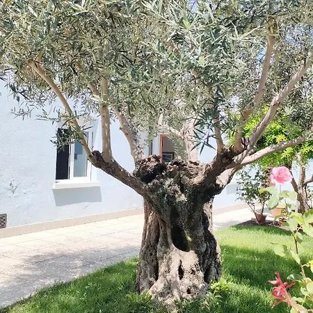Apartment Casa Lety Con Giardino, Aria Condizionata E Wifi *