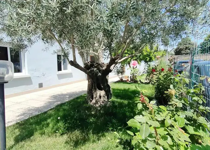 Casa Lety Con Giardino, By Affitti Brevi شقة ريميني