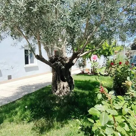 아파트 Casa Lety Con Giardino, By Affitti Brevi